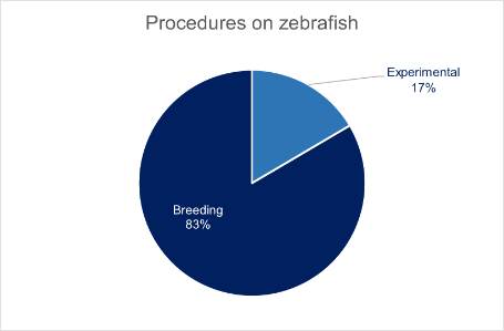 A pie chart illustrating 83% of procedures on zebrafish were genetically altered breeding activities